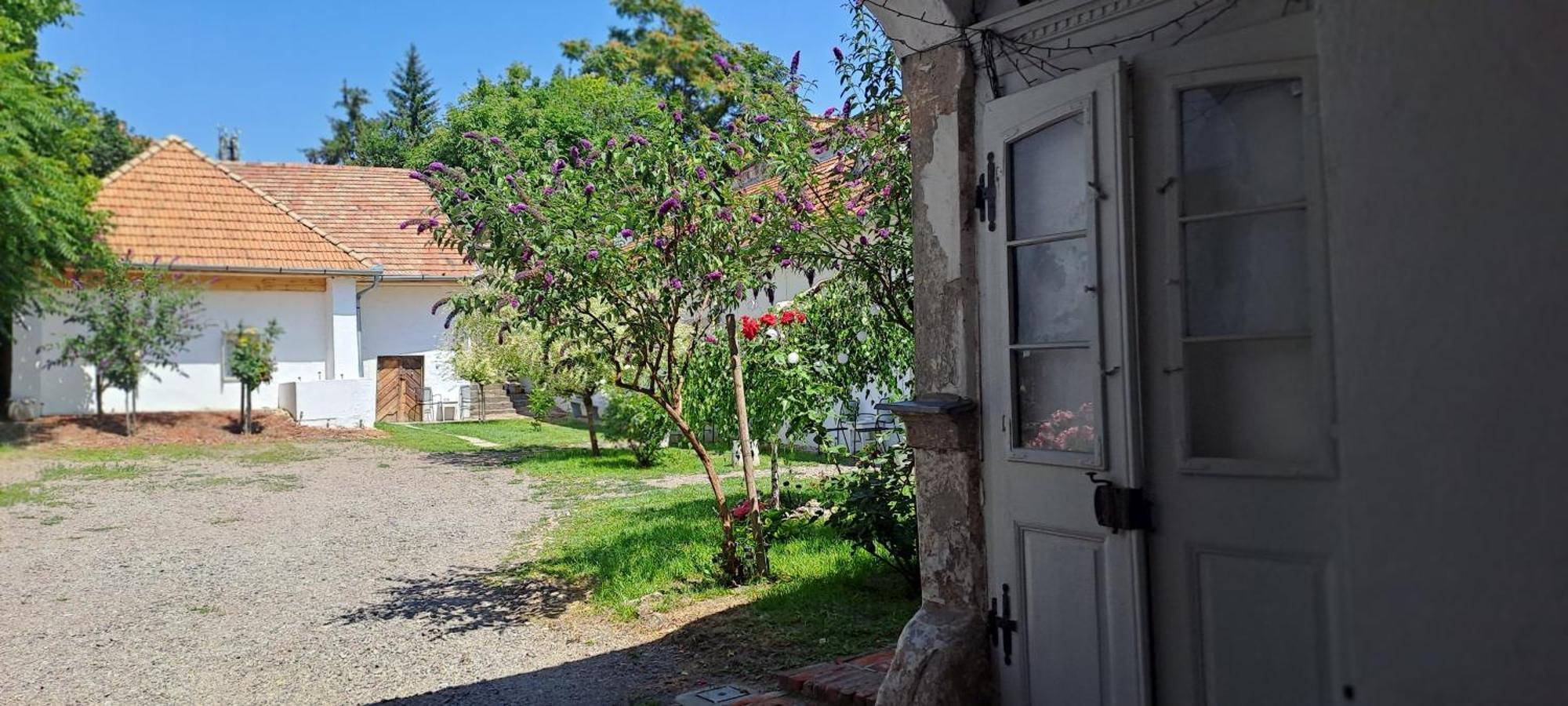 Plitzner Belvarosi Apartmanhaz Eger Eksteriør billede